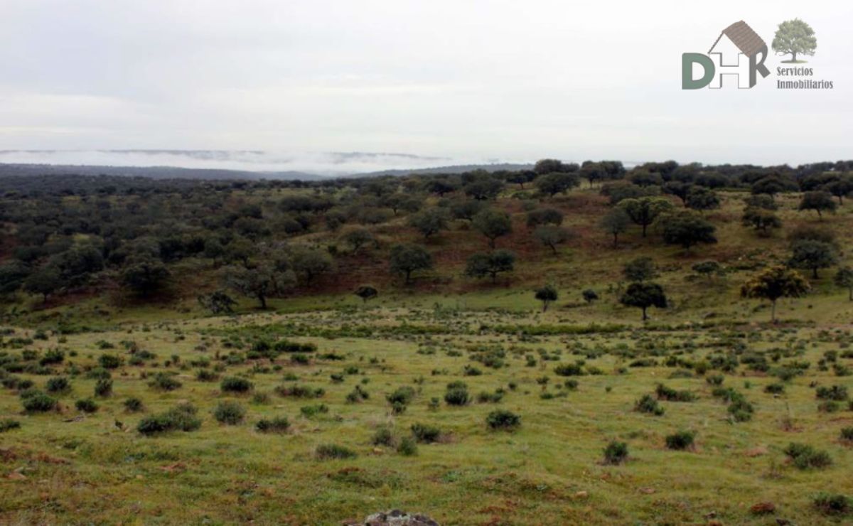 For sale of land in Cáceres