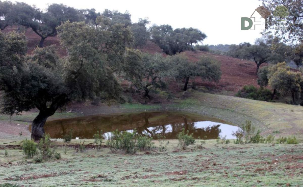 Venta de terreno en Cáceres