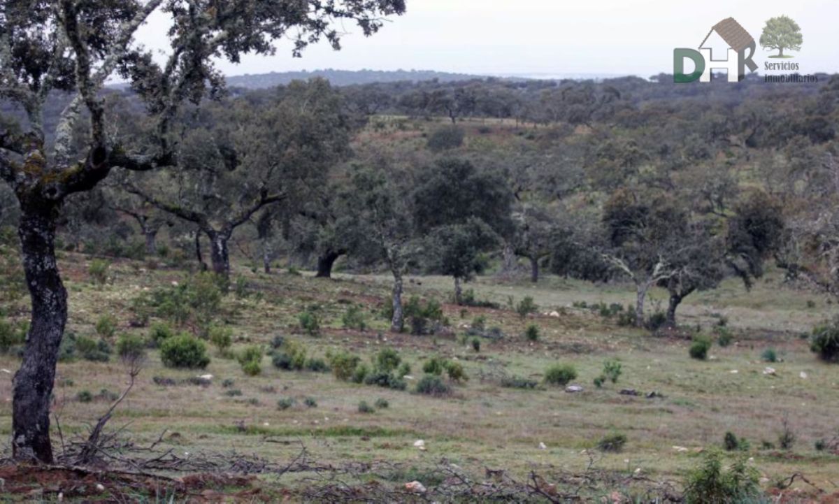 Venta de terreno en Cáceres