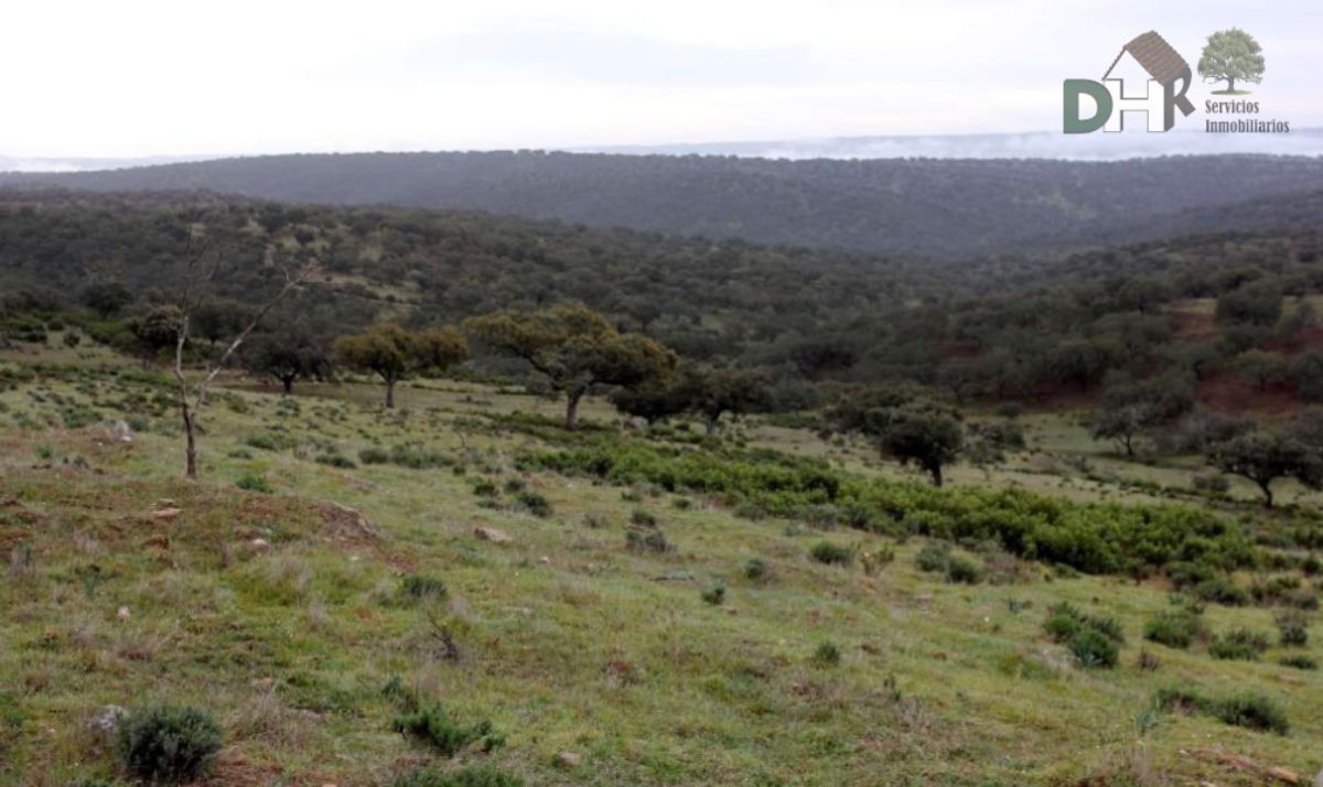 Venta de terreno en Cáceres