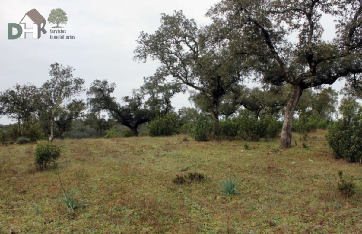 Venta de terreno en Cáceres