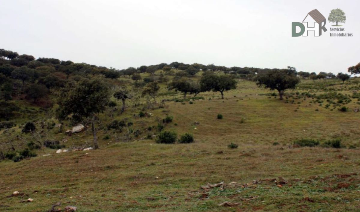 Venta de terreno en Cáceres