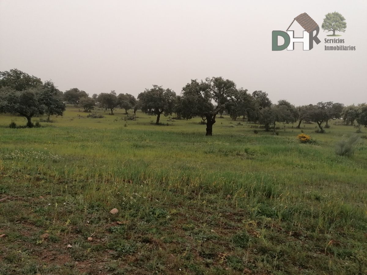 For sale of land in Badajoz