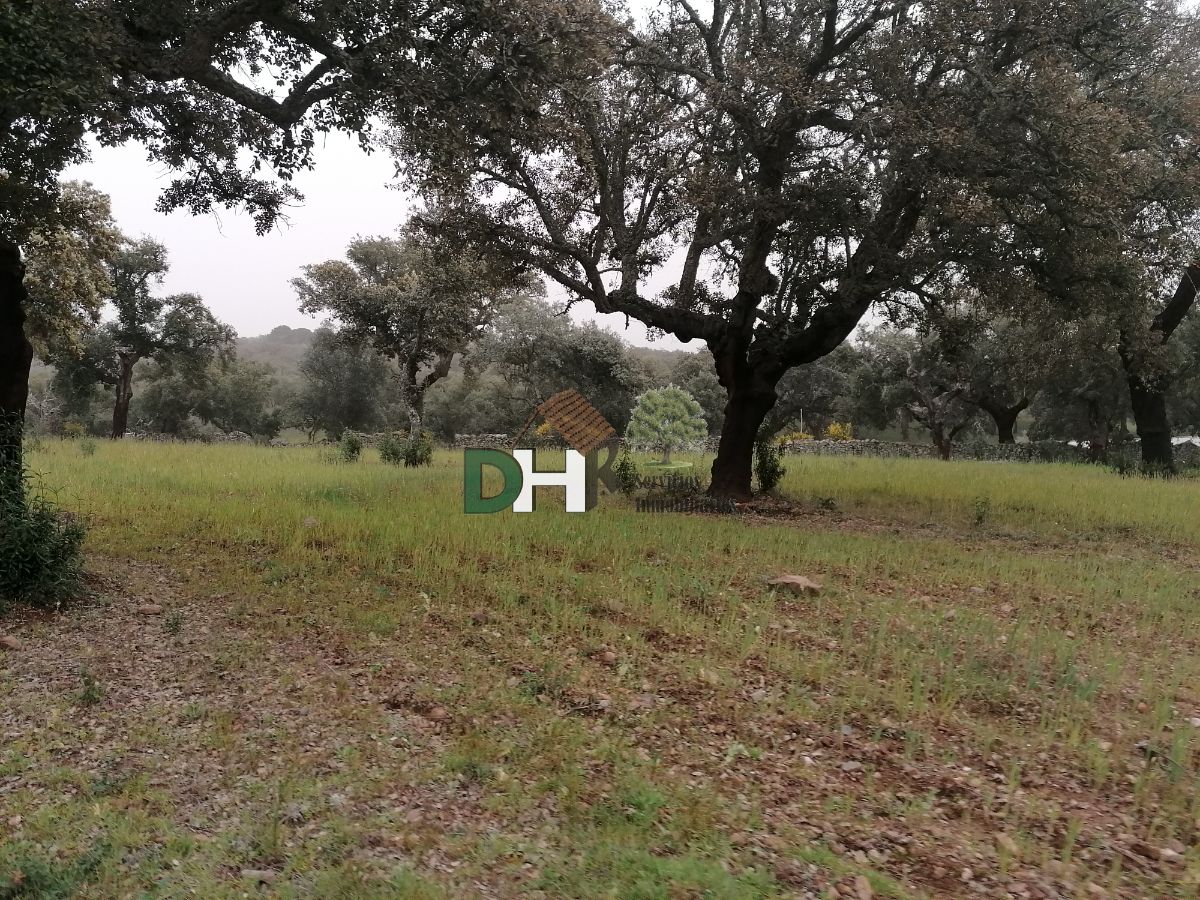 For sale of land in Badajoz