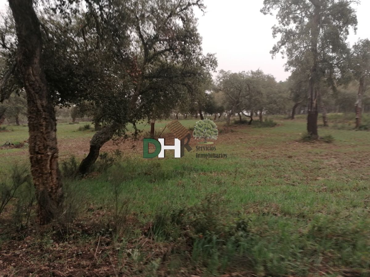 For sale of land in Badajoz