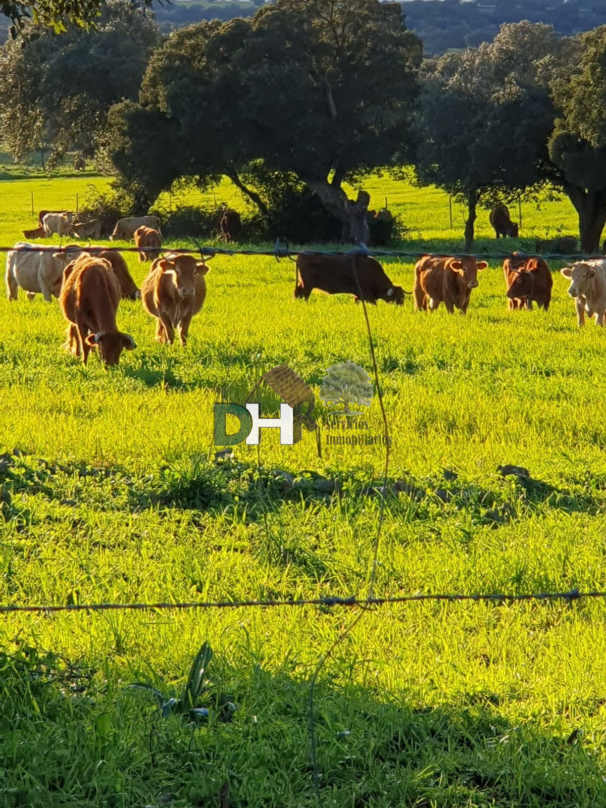 Venta de terreno en Badajoz