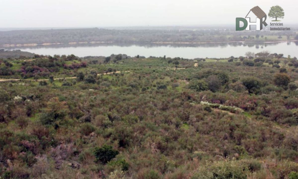 For sale of land in Ávila