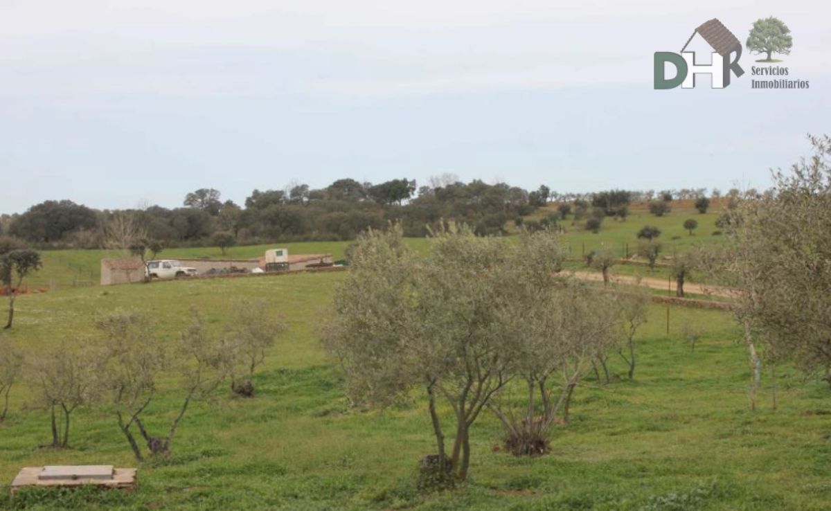 For sale of land in Cáceres