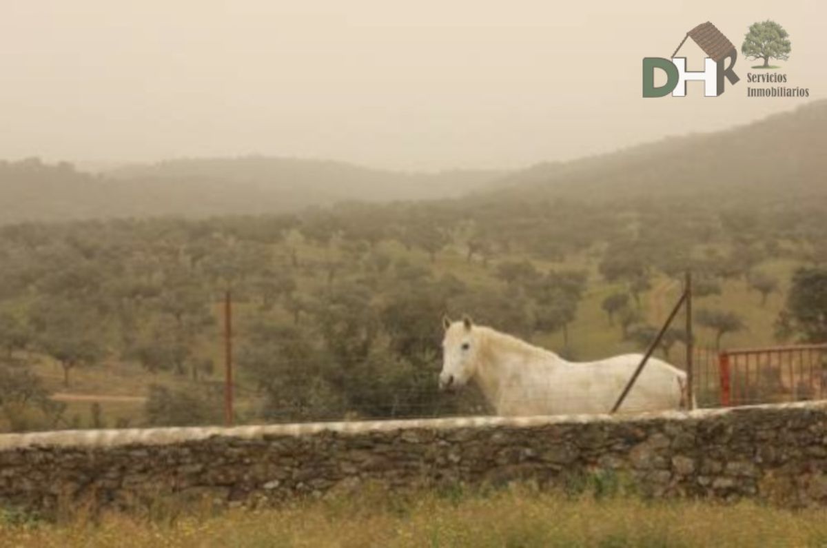 Venta de terreno en Badajoz