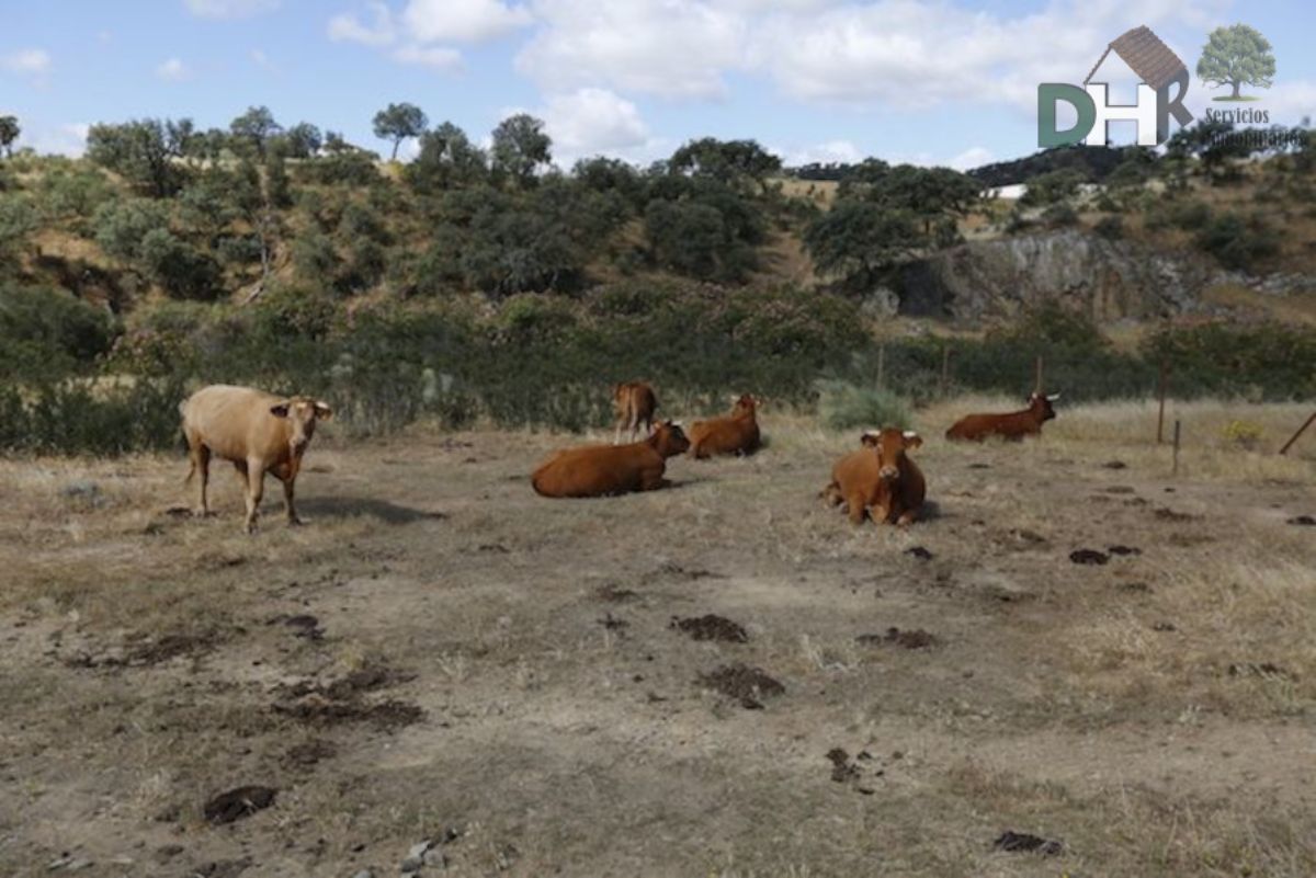 Venta de terreno en Badajoz