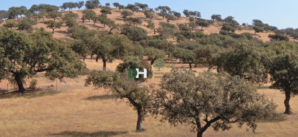 Venta de terreno en Badajoz Venta de terreno en Badajoz