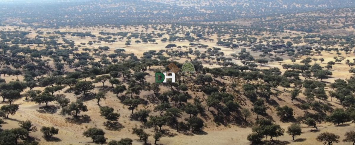 Venta de terreno en Badajoz Venta de terreno en Badajoz