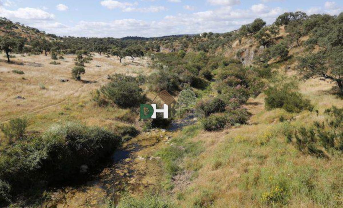 For sale of land in Badajoz