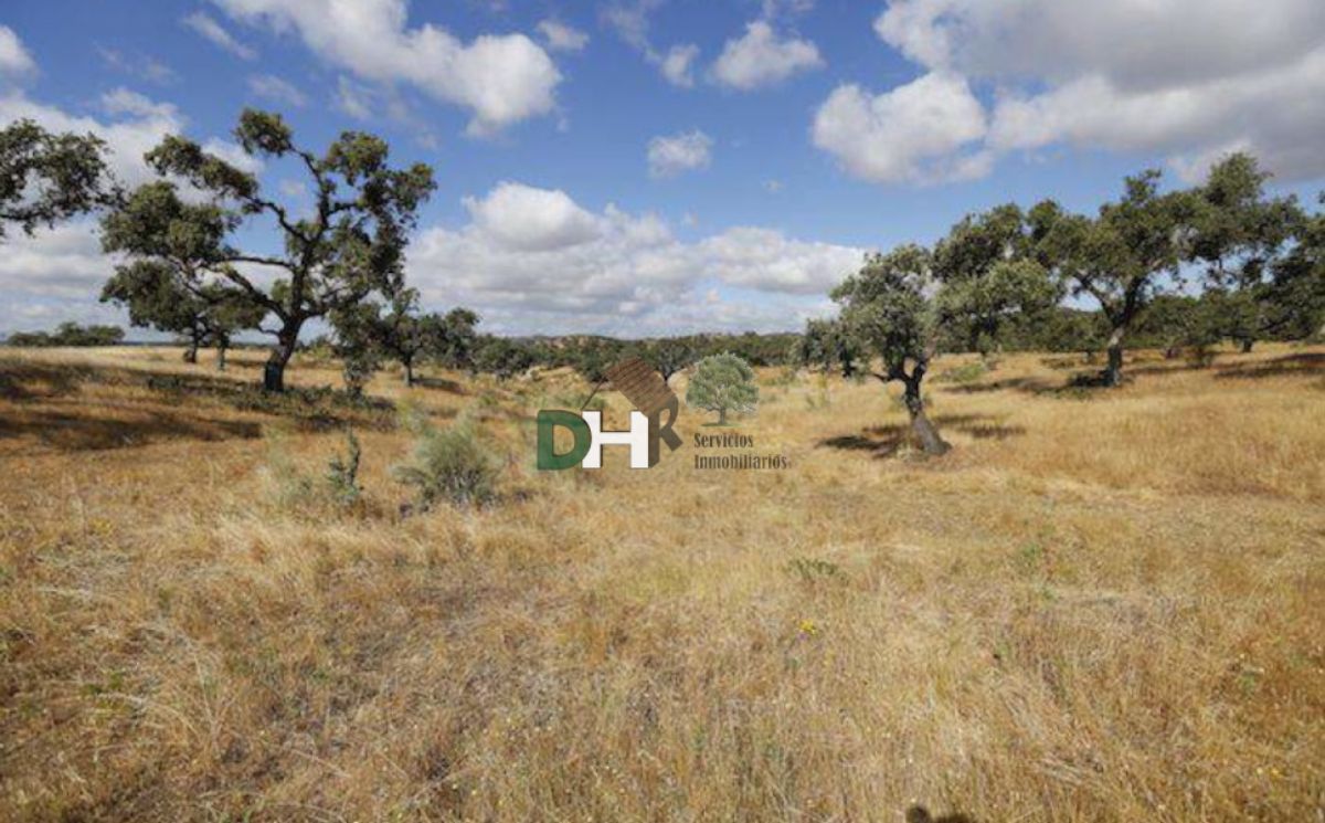 Venta de terreno en Badajoz