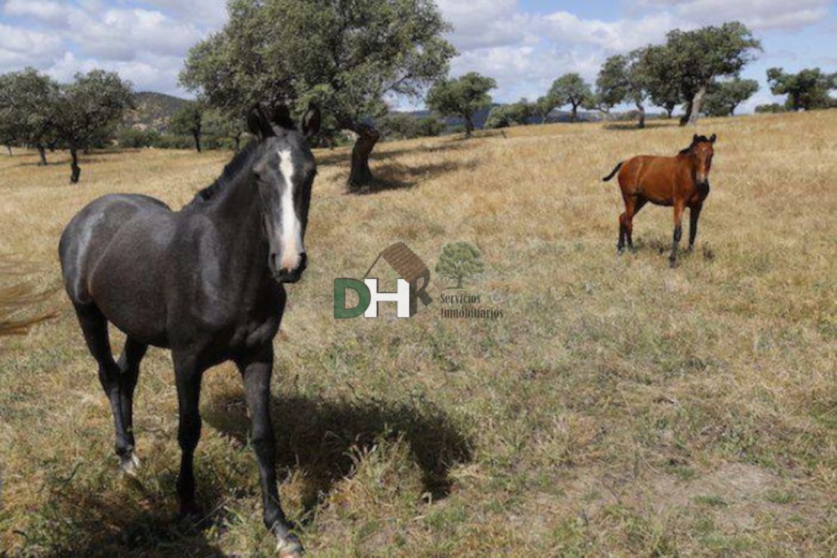 Venta de terreno en Badajoz