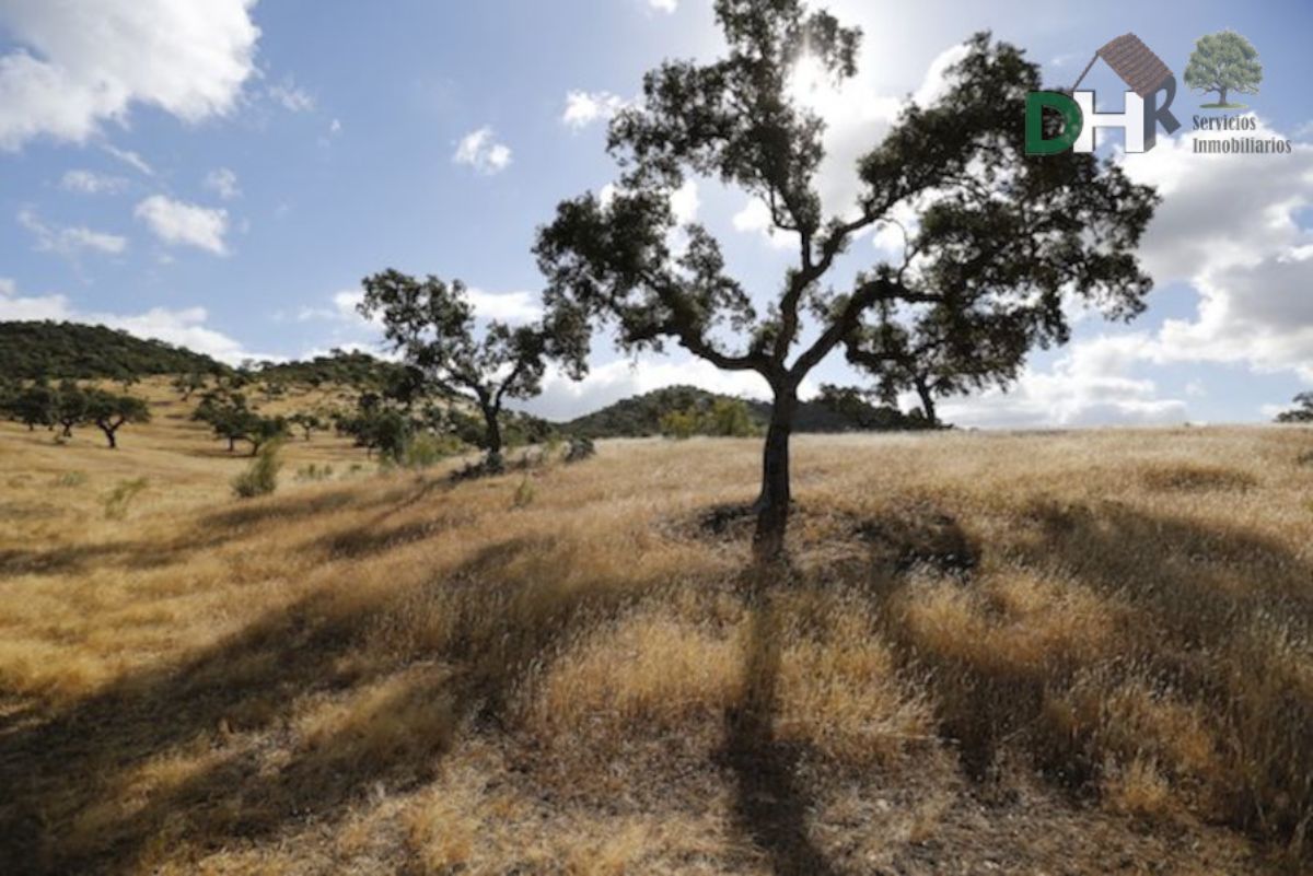 Venta de terreno en Badajoz Venta de terreno en Badajoz