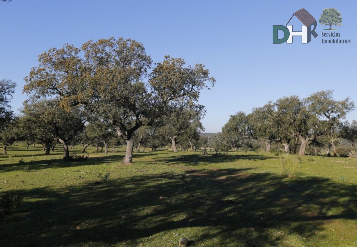 For sale of land in Cáceres