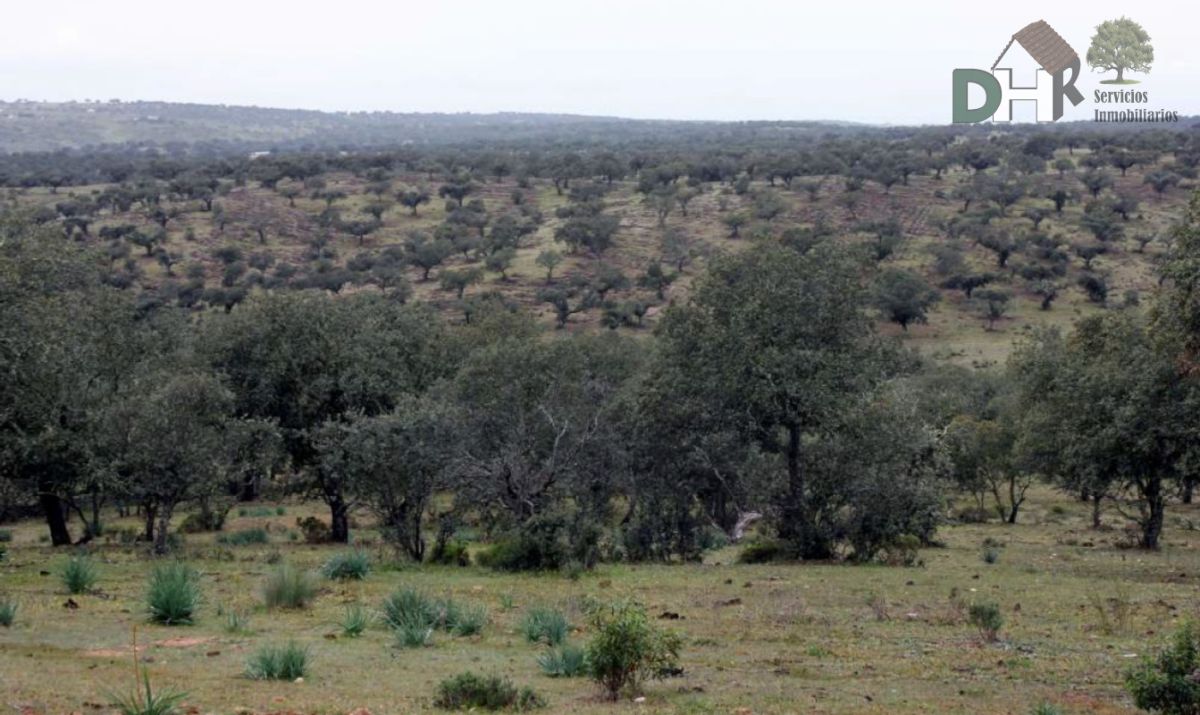 Venta de terreno en Cáceres