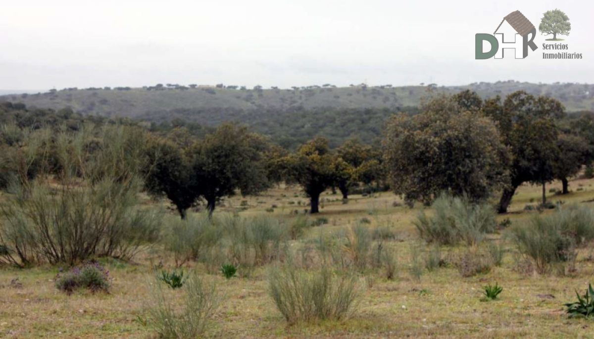 For sale of land in Cáceres