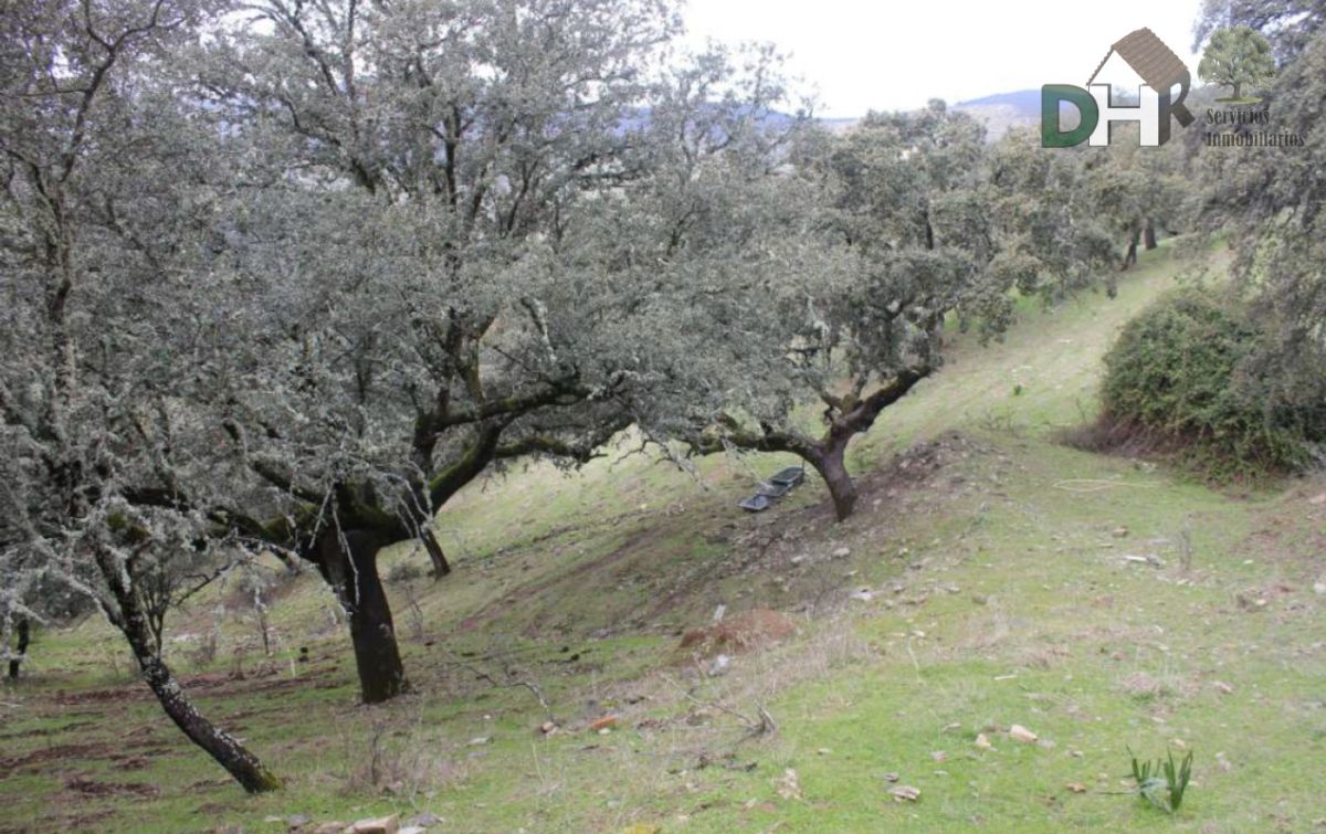 For sale of land in Cañamero