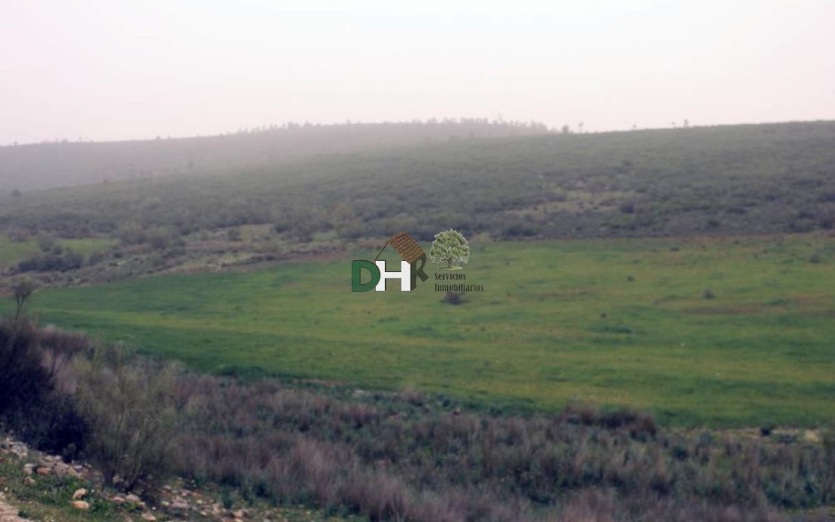 For sale of land in Valle de la Serena