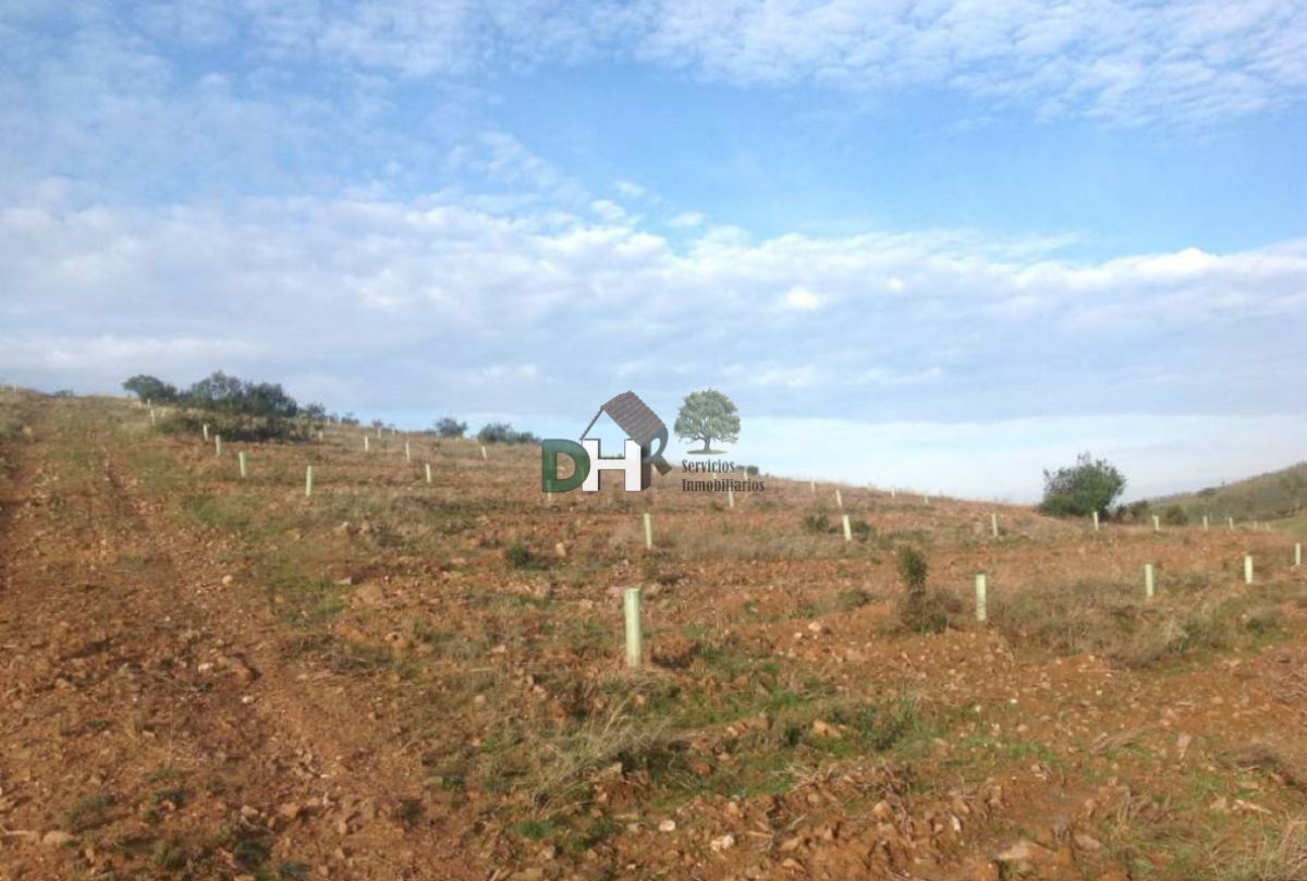 Venta de terreno en Badajoz