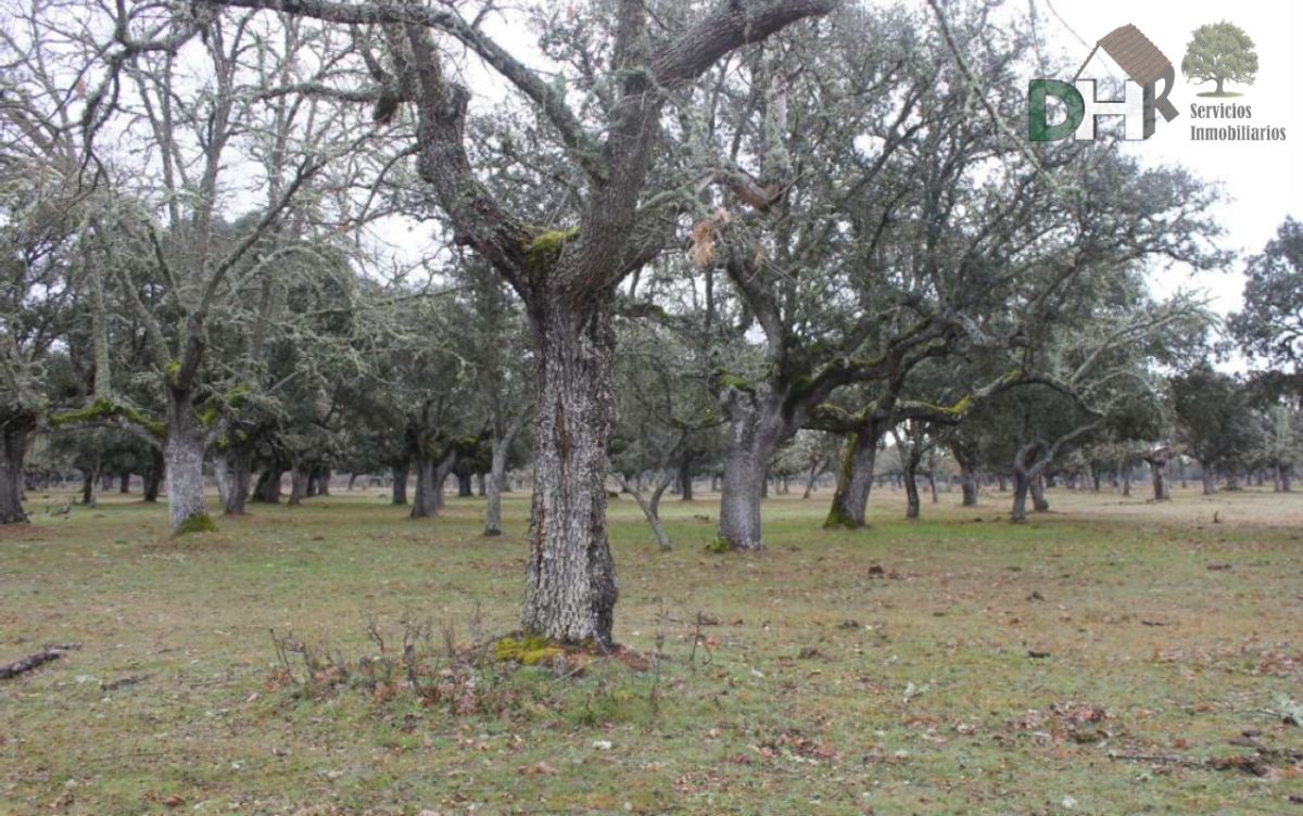 Venta de terreno en Salamanca