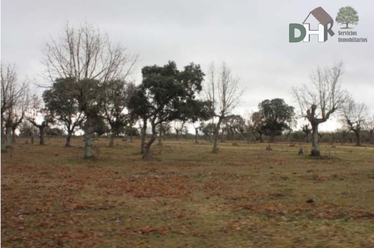 For sale of land in Salamanca