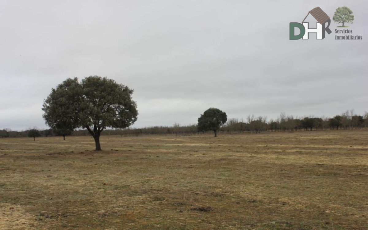 For sale of land in Salamanca