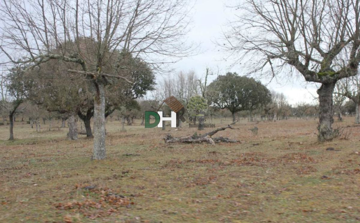 For sale of land in Salamanca