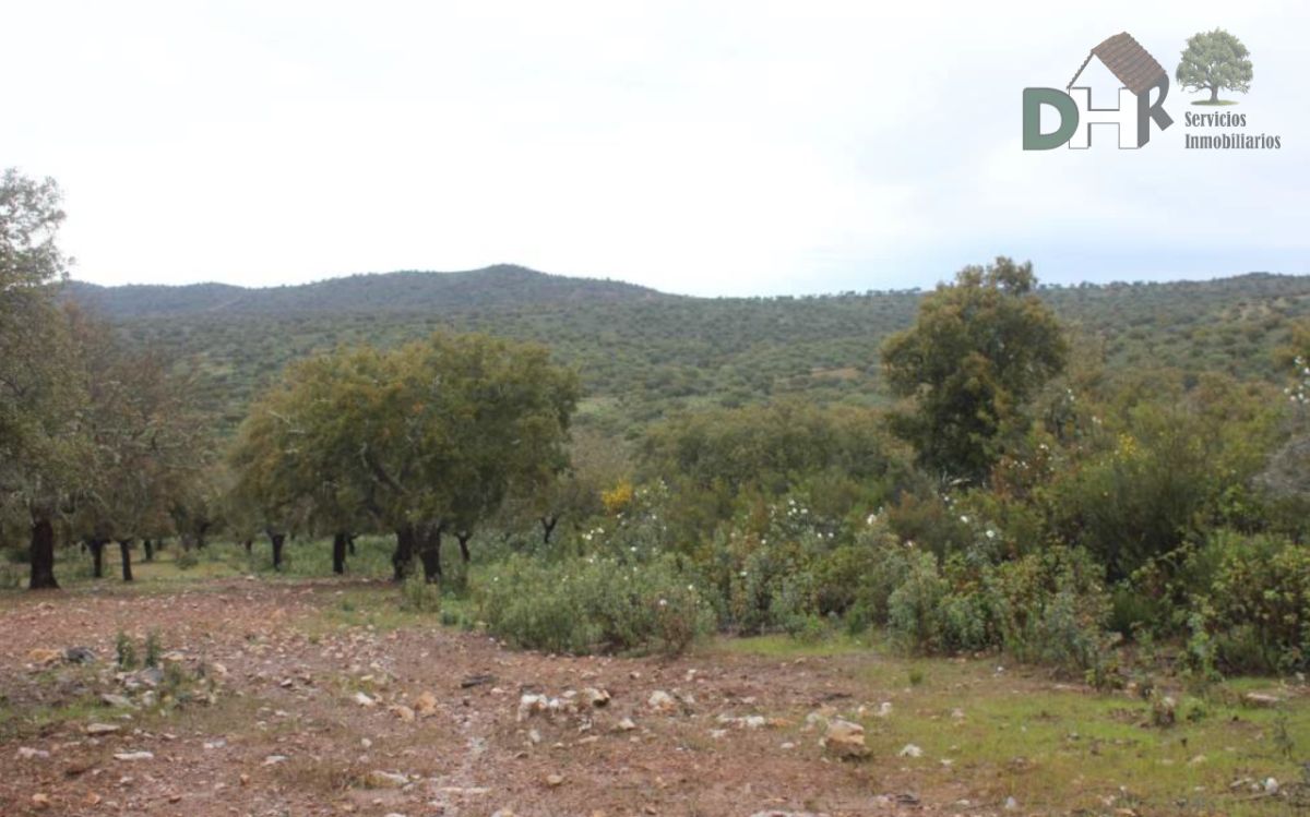 Venta de terreno en Cáceres