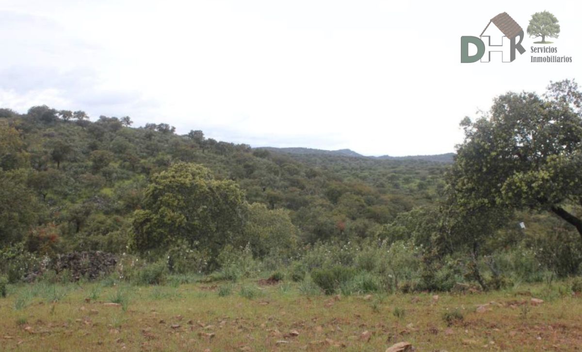 For sale of land in Cáceres