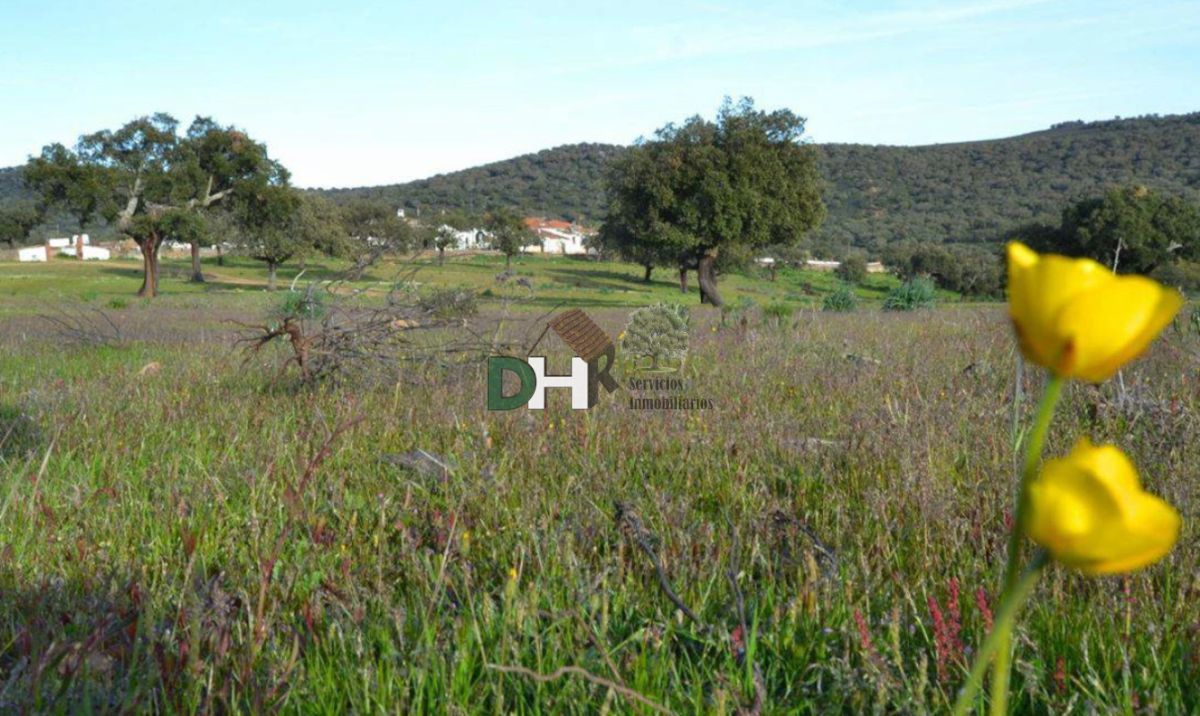 For sale of land in Cáceres