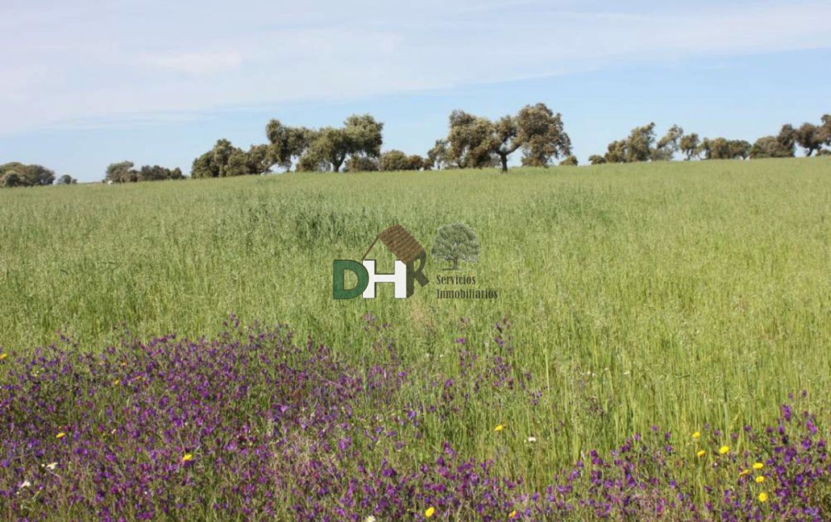 Venta de terreno en Badajoz