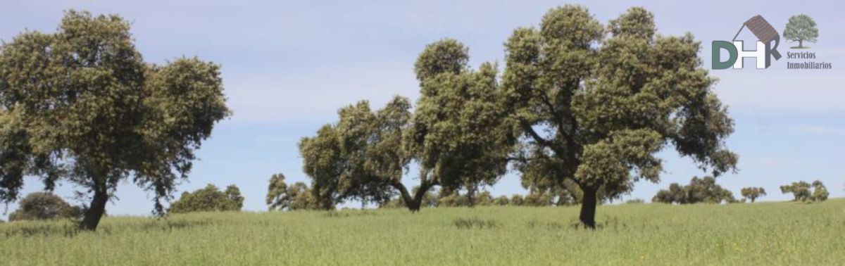 Venta de terreno en Badajoz