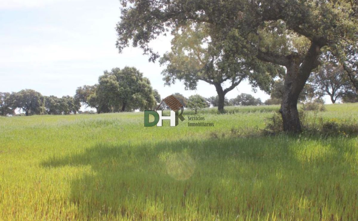 For sale of land in Badajoz
