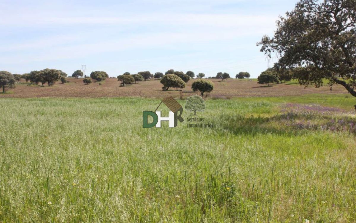 For sale of land in Badajoz