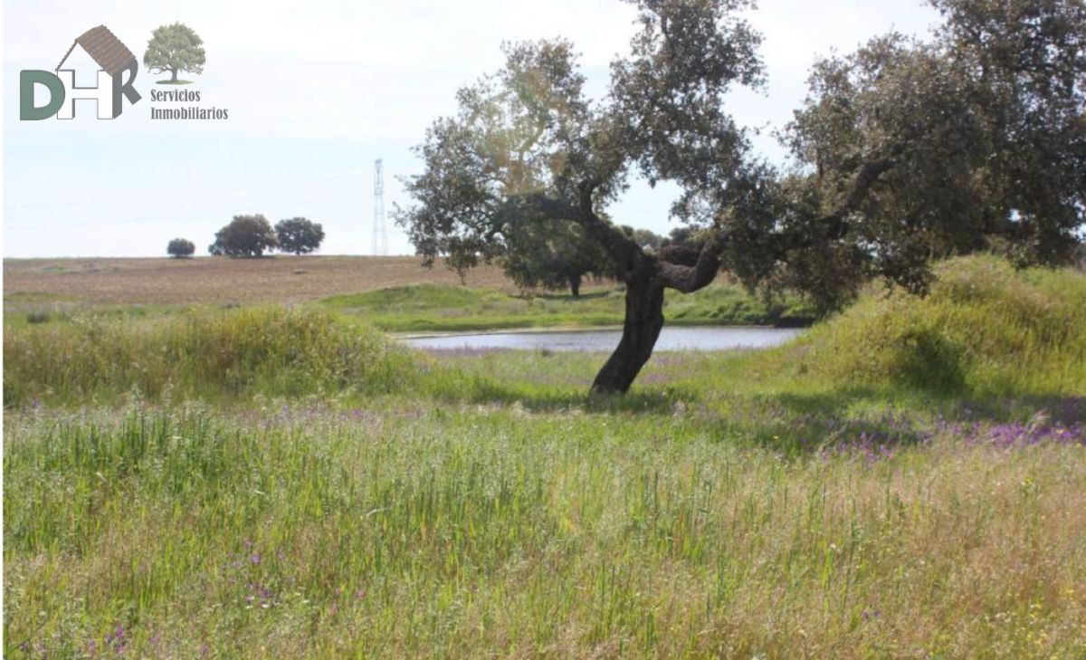 For sale of land in Badajoz