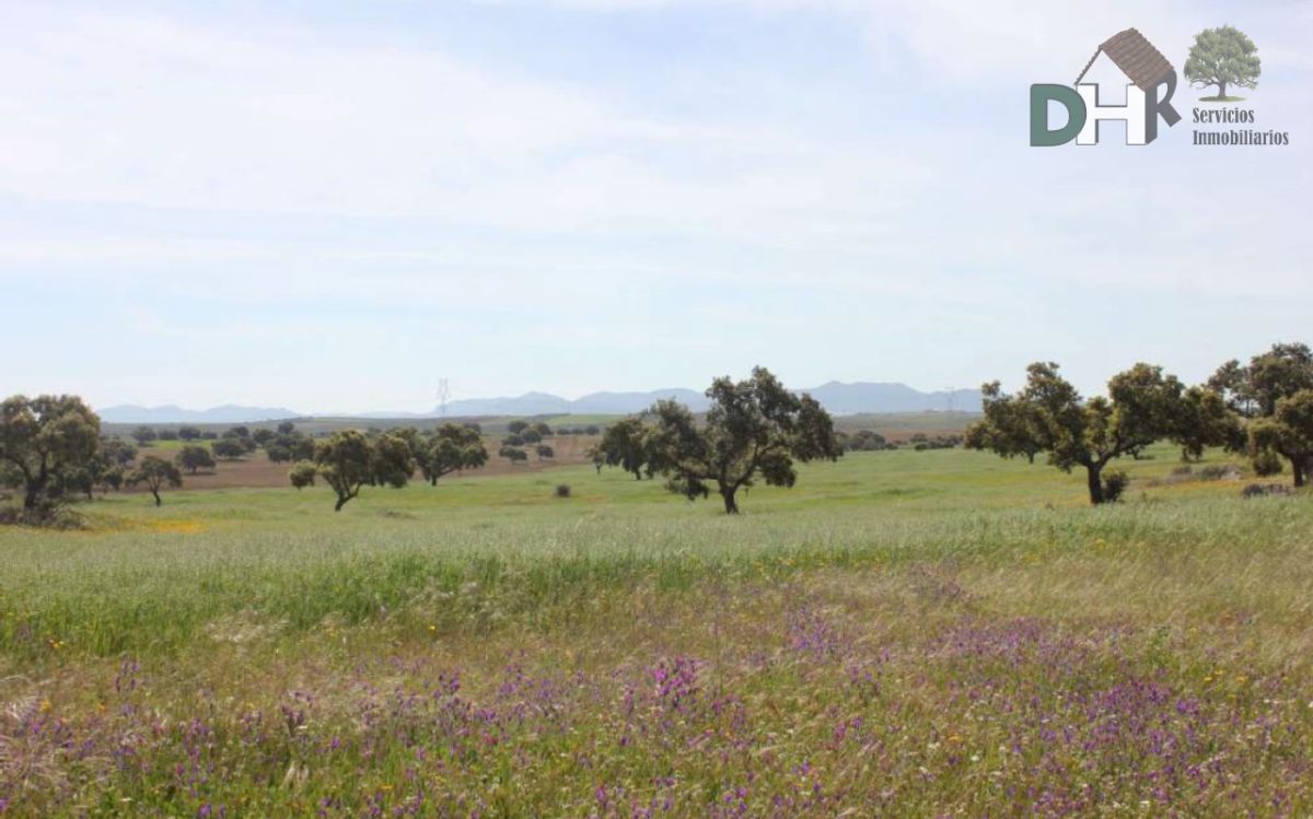 For sale of land in Badajoz