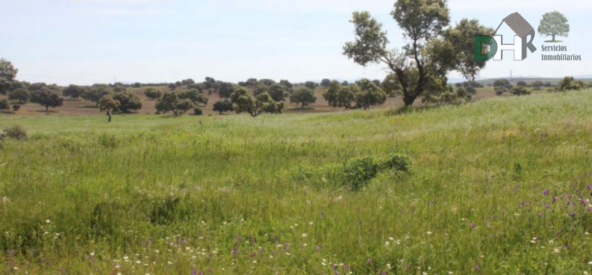 For sale of land in Badajoz