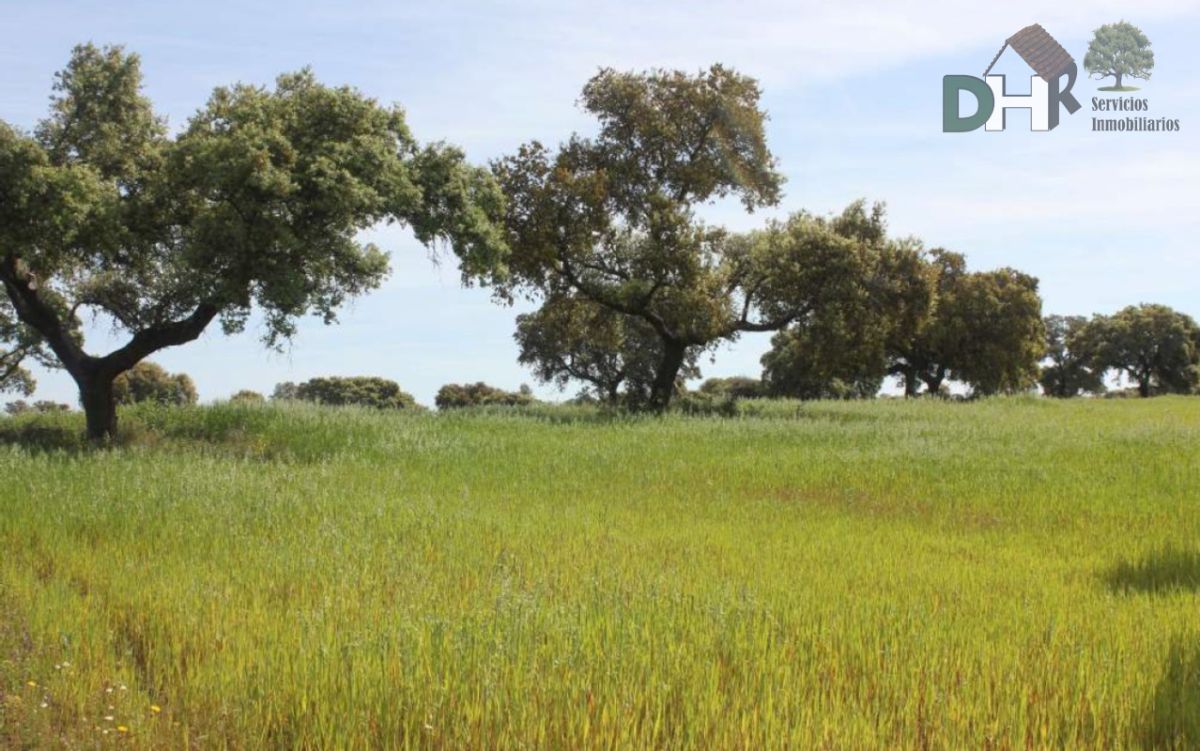 For sale of land in Badajoz