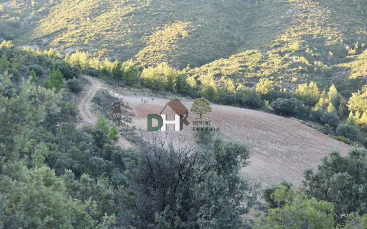For sale of land in Cuenca