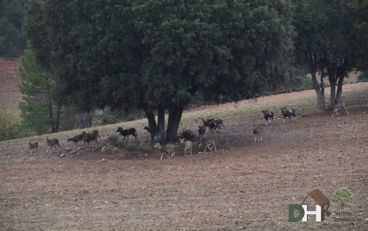 Venta de terreno en Cuenca