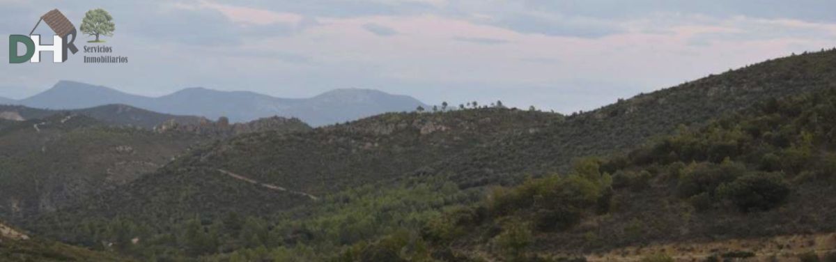 For sale of land in Cuenca