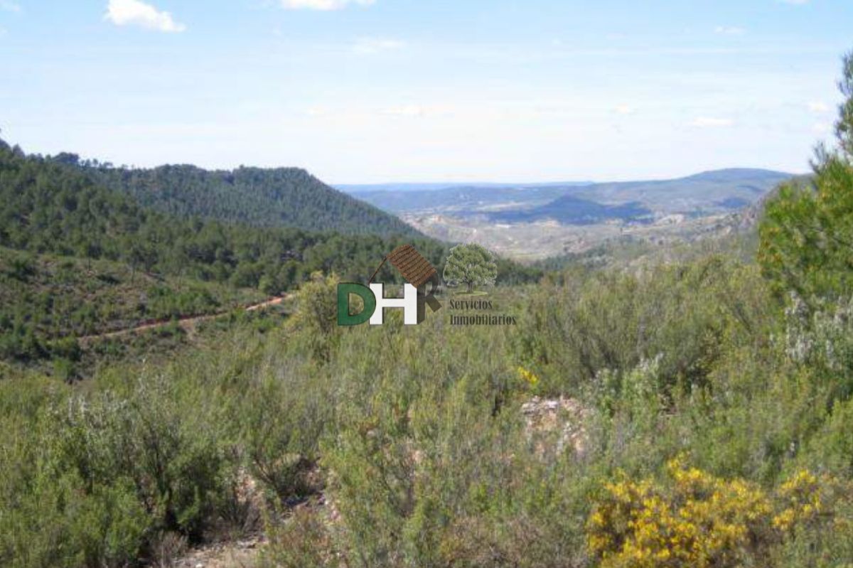 For sale of land in Cuenca