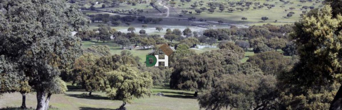 For sale of land in Trujillo