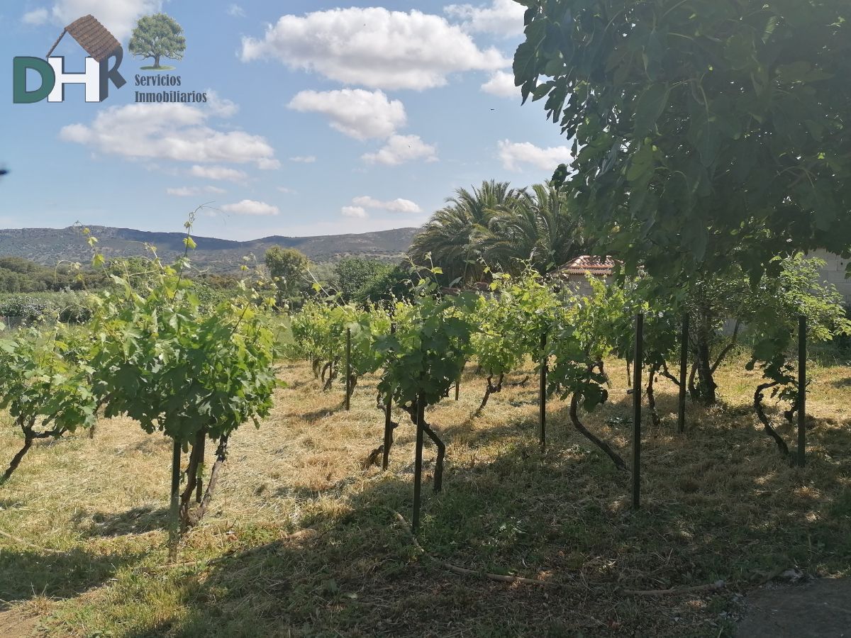 Venta de chalet en Cáceres