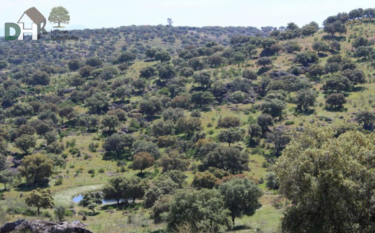 Venta de terreno en Navalmoral de la Mata