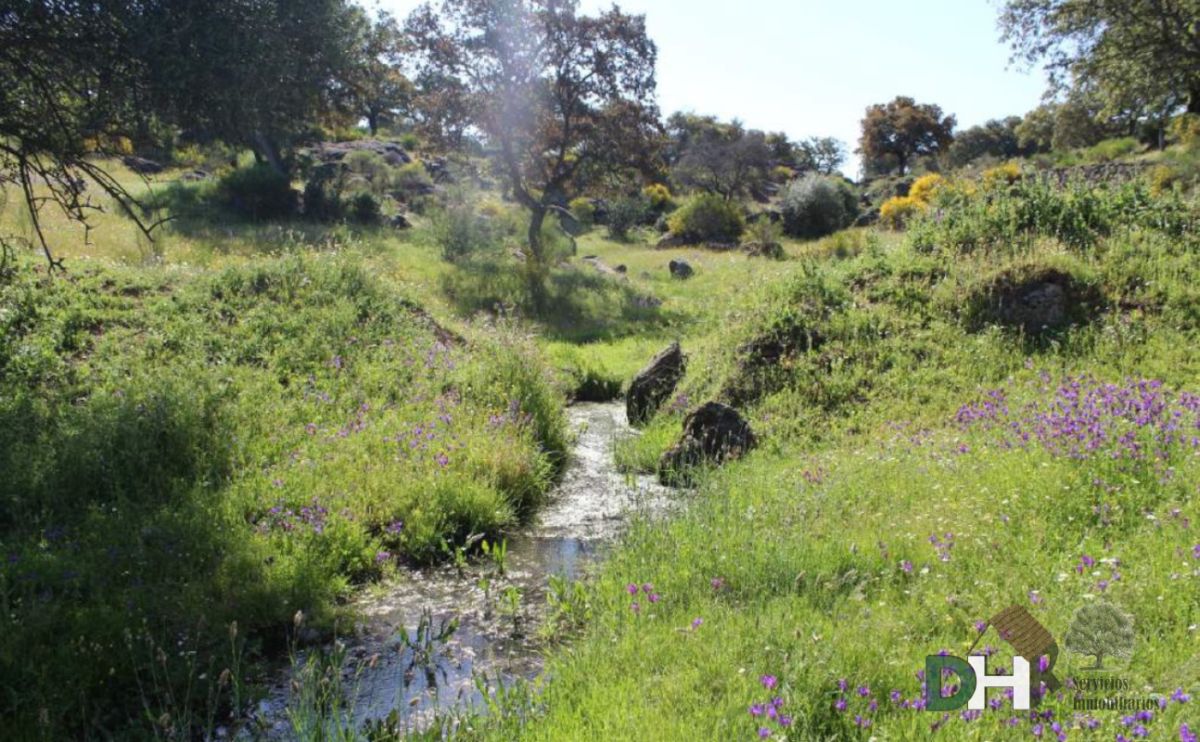 For sale of land in Navalmoral de la Mata