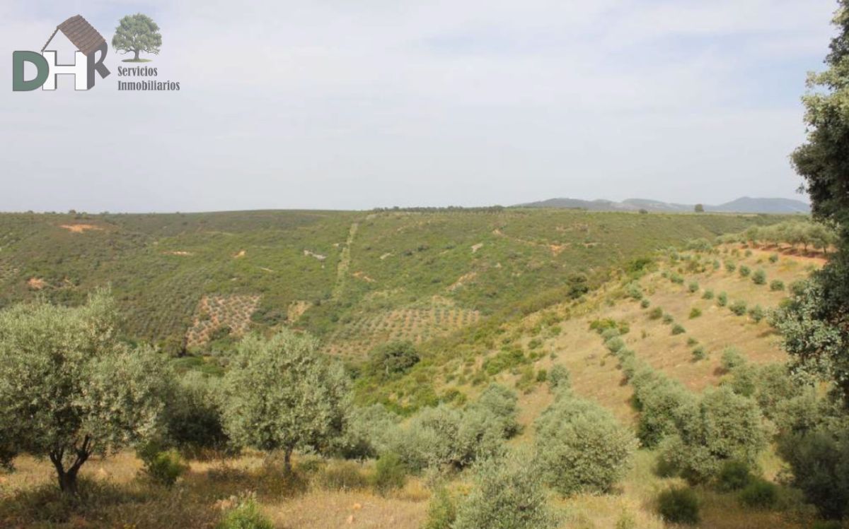 For sale of land in Cáceres